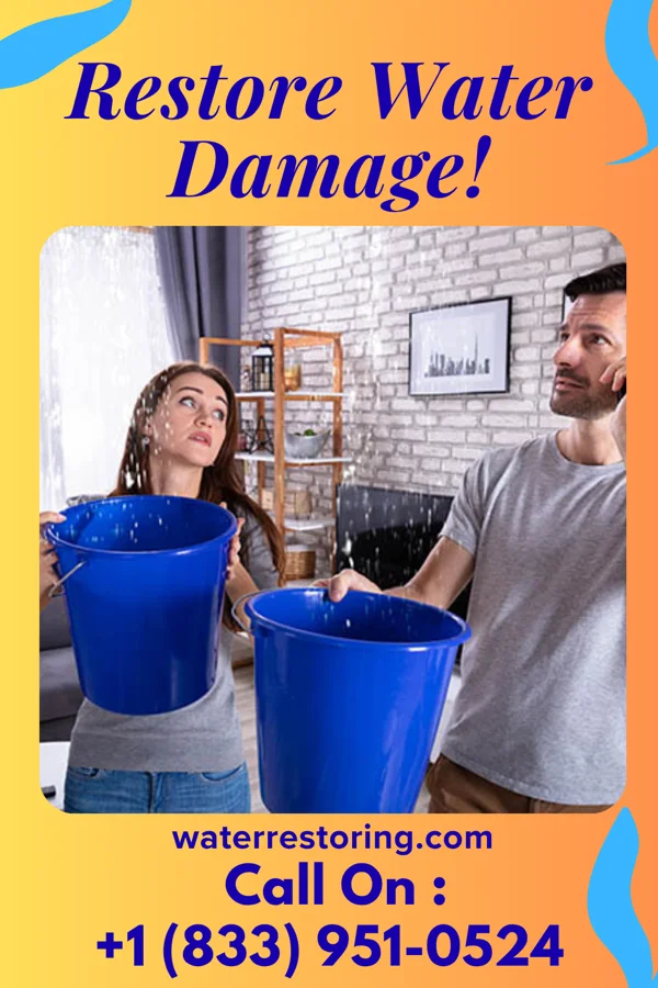 water restoration Horizon Water Damage Solutions Parks